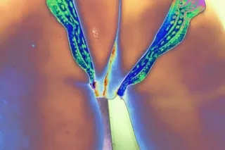 Available right now 🫦🤸🏻♀ - Image 4