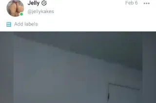 Jelly is back $40 ft show 💦 $80 covered gummy $120 qv $160 hhr - Image 6