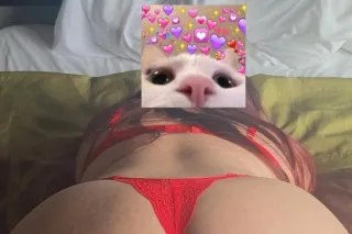 disponible en Durham - Image 4